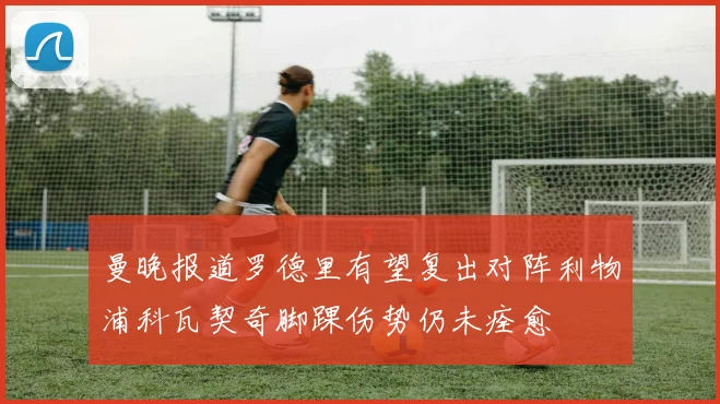 曼晚报道罗德里有望复出对阵利物浦科瓦契奇脚踝伤势仍未痊愈