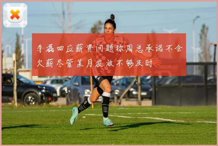 李磊回应薪资问题称周总承诺不会欠薪尽管某月发放不够及时