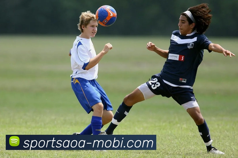 AOA体育APP 封面图